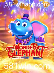Conheça WonderElephant: O Novo Jogo que Conquista o Público
